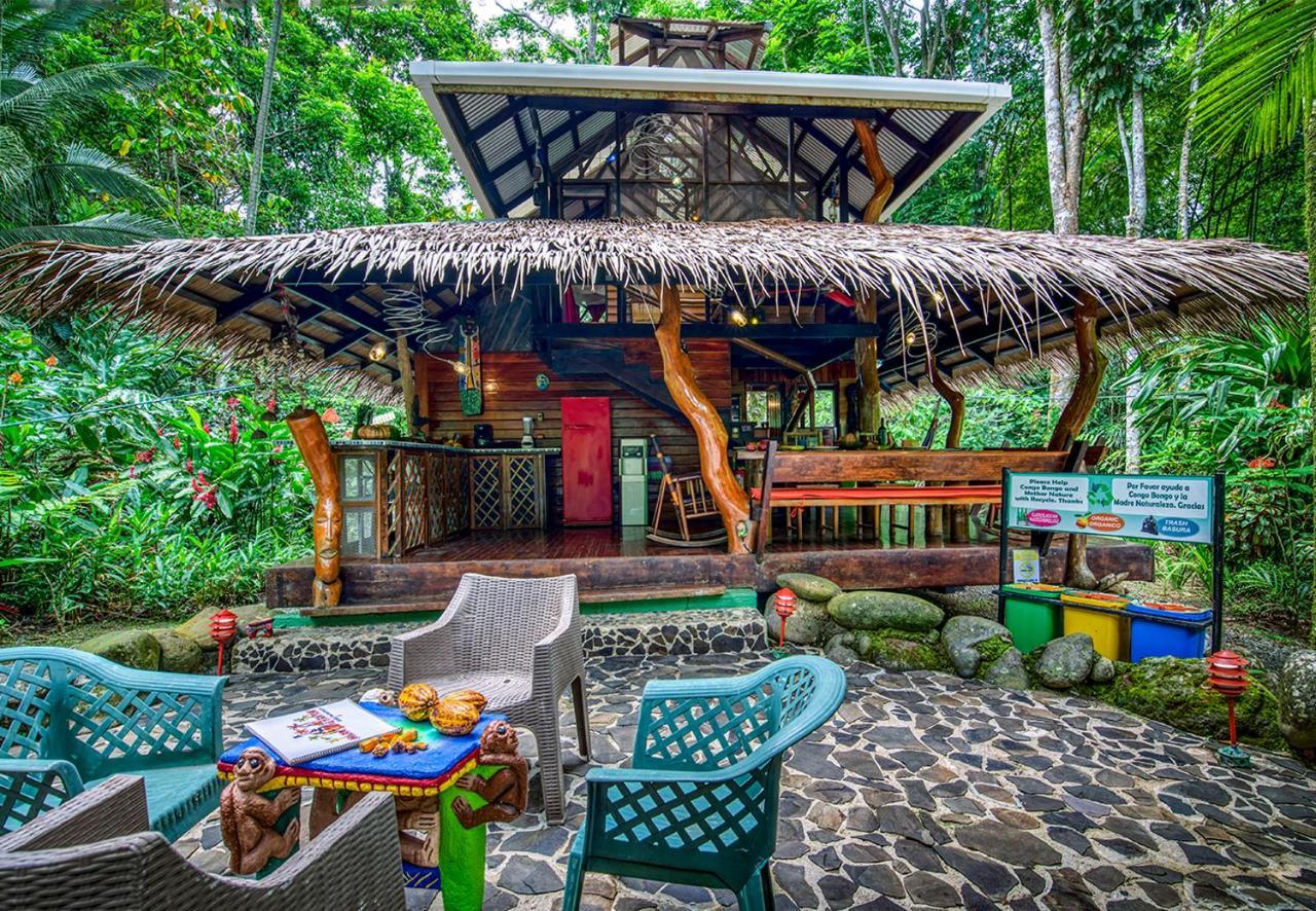 Congo Bongo Ecovillage Costa Rica Puerto Viejo de Talamanca Экстерьер фото