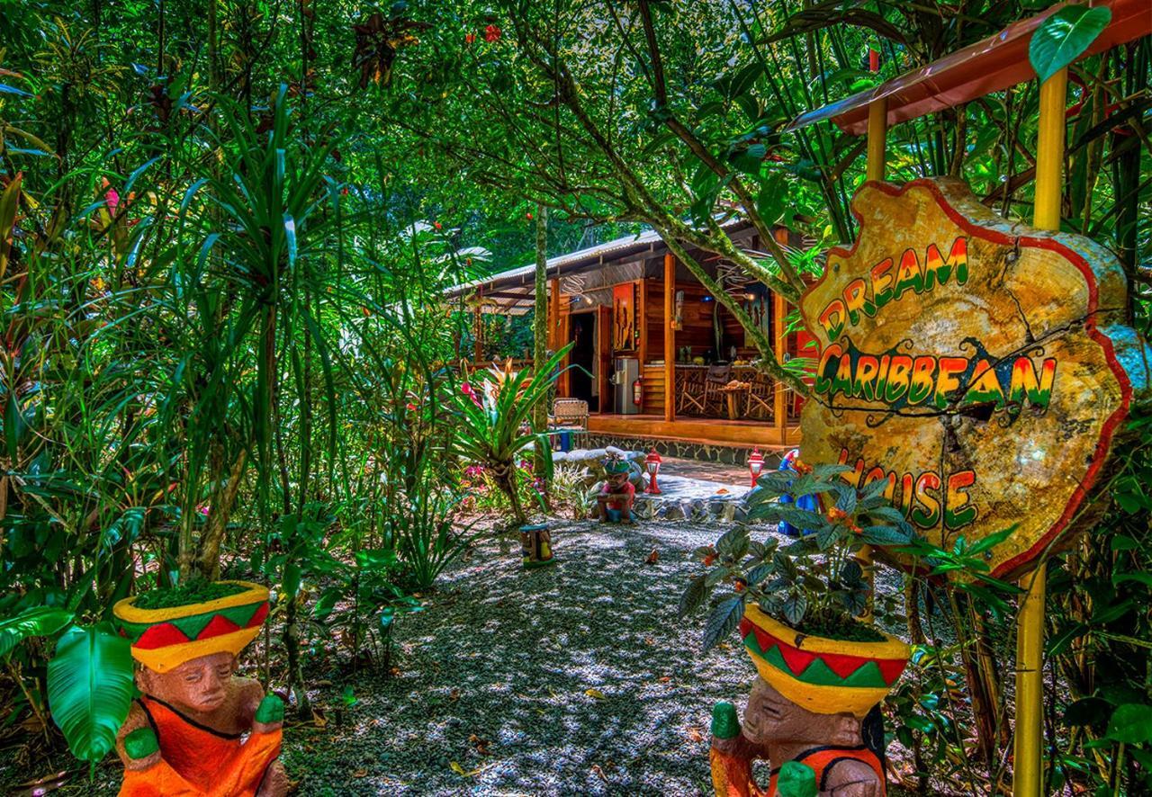 Congo Bongo Ecovillage Costa Rica Puerto Viejo de Talamanca Экстерьер фото